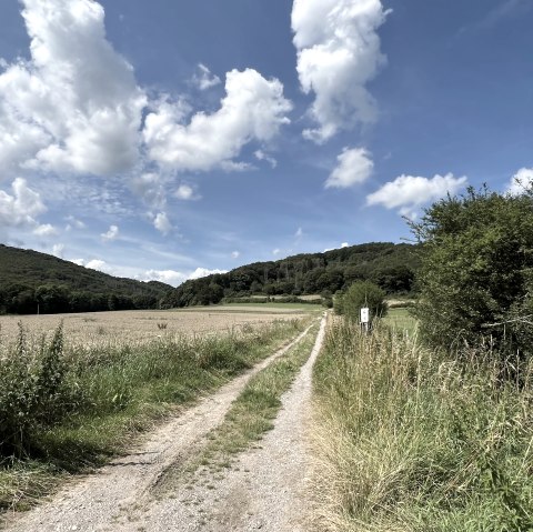 Entlang der Tour, &copy; Rureifel-Tourismus e.V., Michelle Wiesen