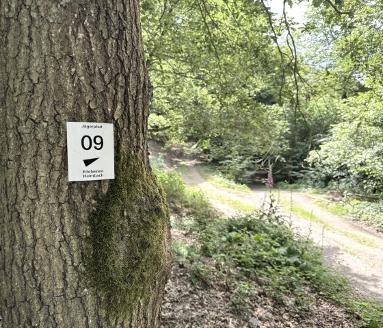 Wegbeschilderung, &copy; Rureifel-Tourismus e.V., Dennis Winands