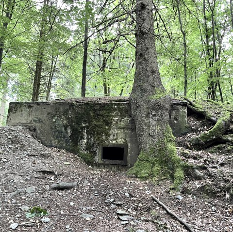 Bunker, &copy; Monschauer Land Touristik e.V.