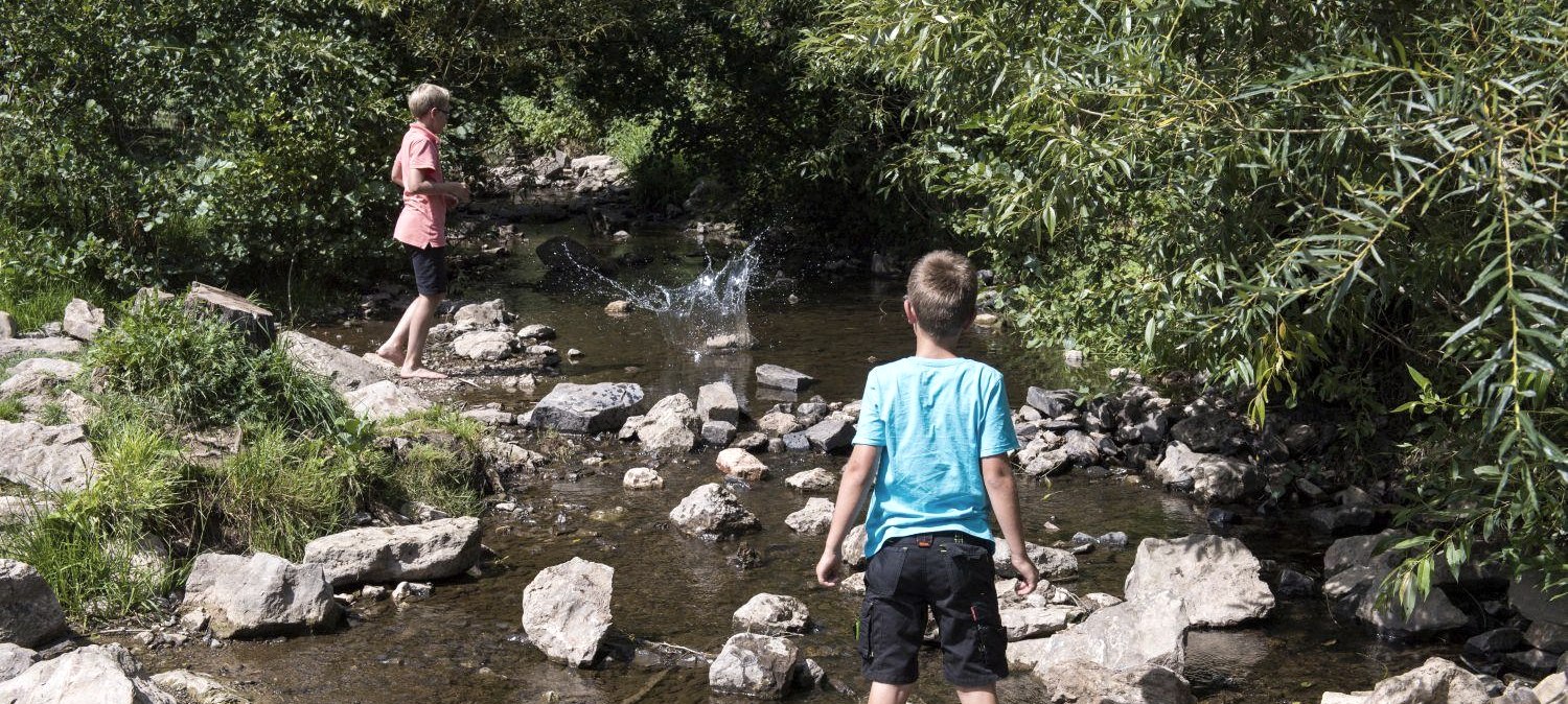 Das Leben im Bach, &copy; Eifelgemeinde Nettersheim