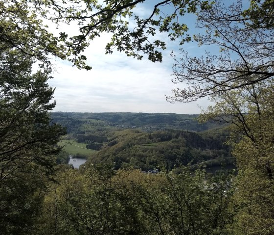 Aussicht Jiescheckerdeeischelche, &copy; Gemeinde Simmerath