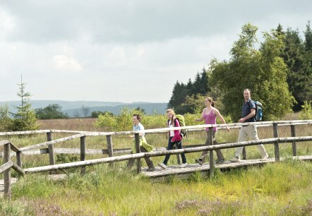 Hohes Venn bei Botrange, &copy; vennbahn.eu