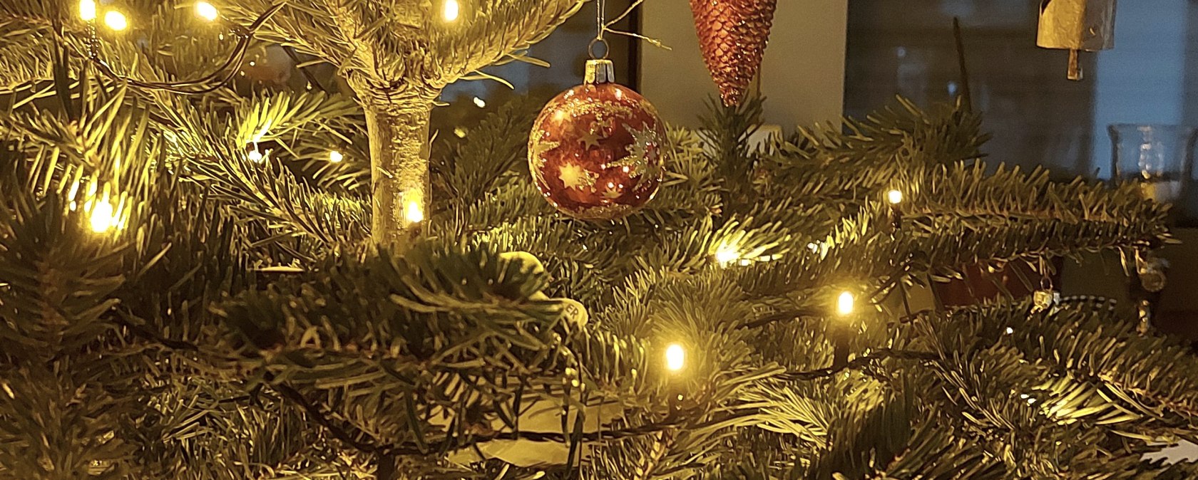 Christmas tree (c) Thei&szlig;en-Braun