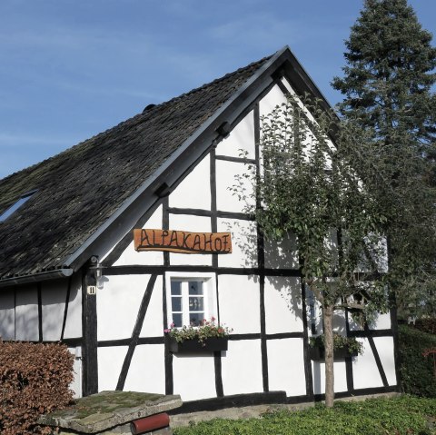 Front, © Alpaka Kleinfrankreich