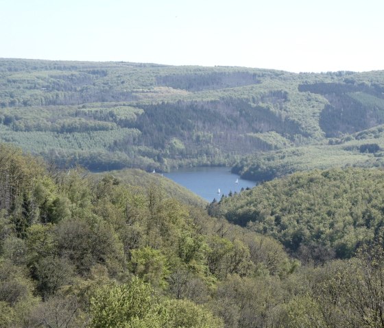 Rurseeblick, &copy; Eifel heimisch
