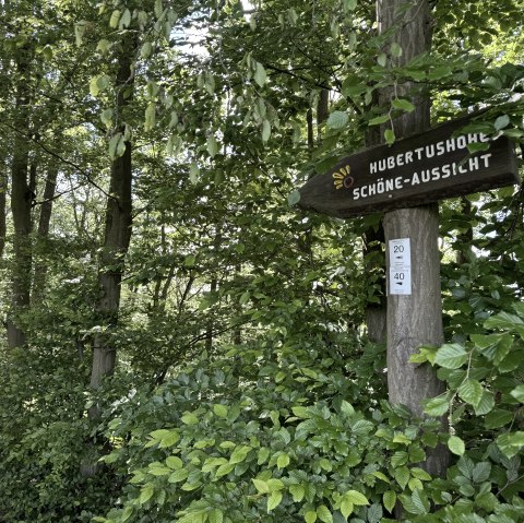Nationalparkrandweg, © Rureifel-Tourismus e.V., Dennis Winands