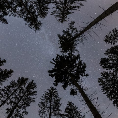 Sternenpark, &copy; NET