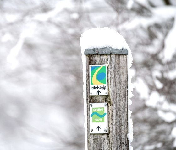 Ein Holzpfosten mit Schildern f&uuml;r den Eifelsteig und die Struffelt-Route, bedeckt mit Schnee, vor einem verschwommenen, winterlichen Hintergrund., &copy; Eifel Tourismus GmbH, Dominik Ketz