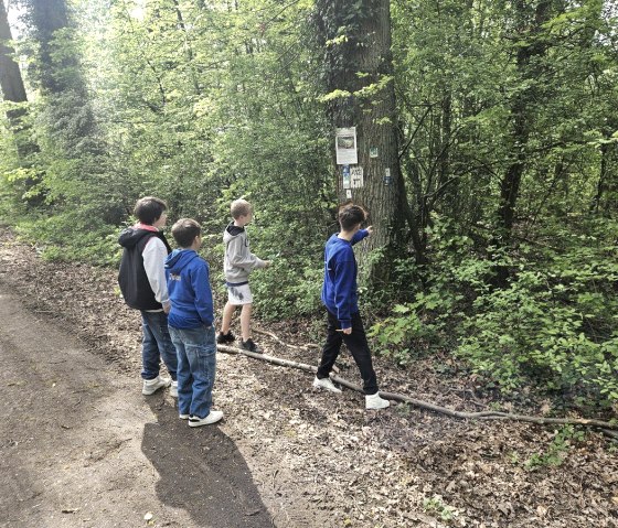 Fr&uuml;hlingswanderung, &copy; PG Weilerswist