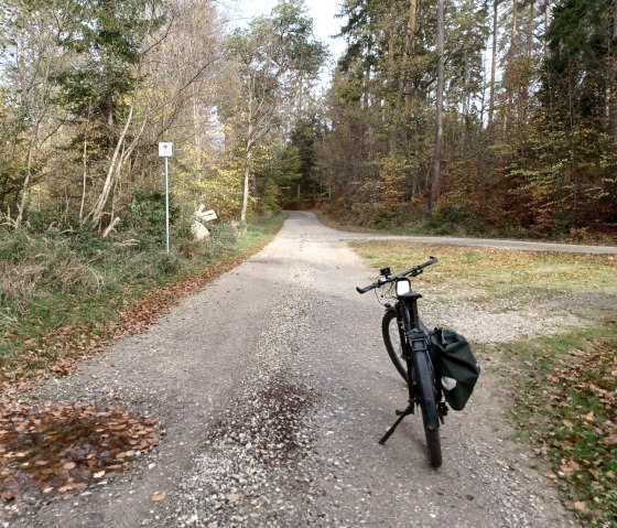 Fahrrad auf einem Waldweg, umgeben von herbstlichen B&auml;umen. Ein Schild am Wegesrand, Laub auf dem Boden., &copy; Sweco GmbH
