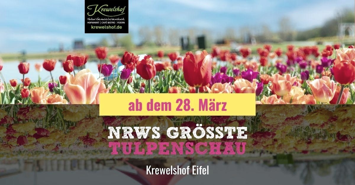 Tulpenschau, &copy; Krewelshof