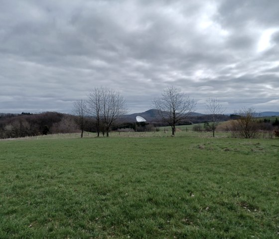 Grüne Wiese mit Bäumen, im Hintergrund das Radioteleskop Effelsberg unter bewölktem Himmel., © Sweco GmbH