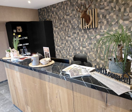 Rezeption, &copy; DER Hirsch