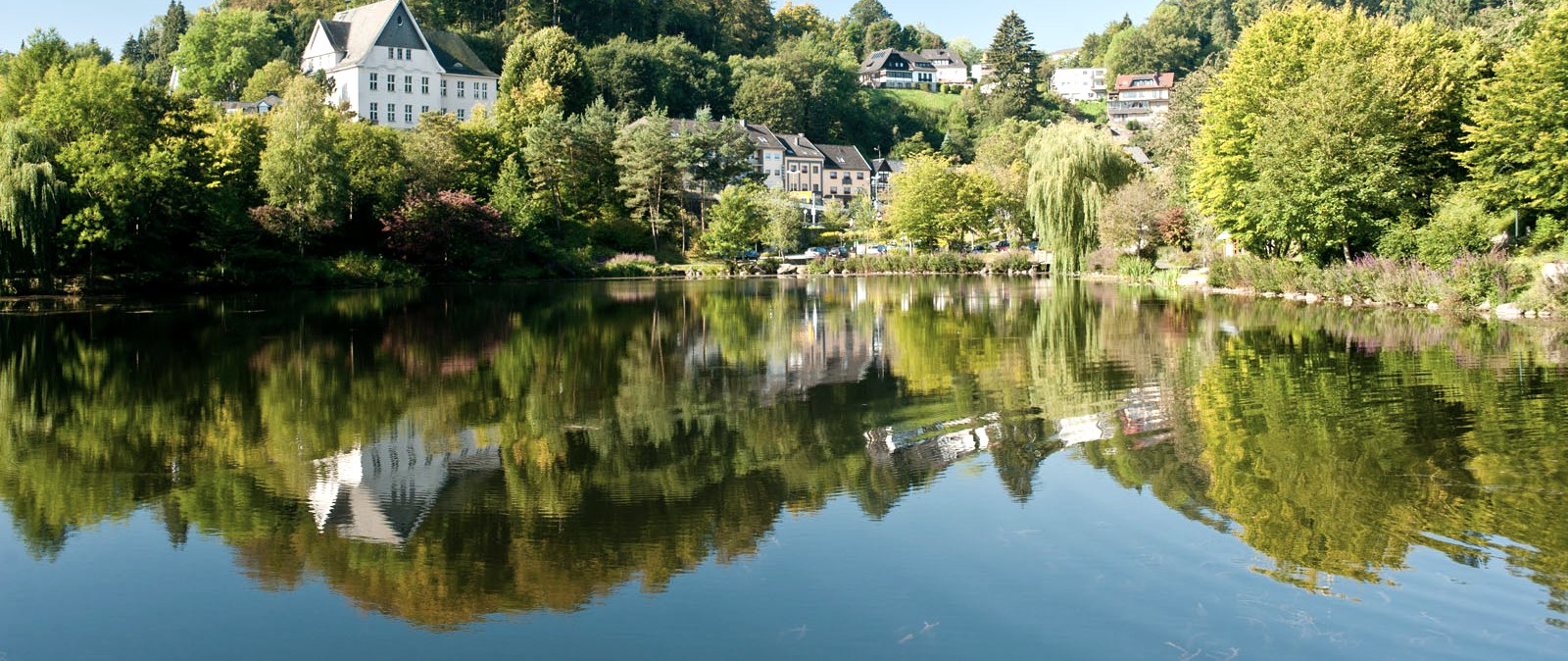 Ein idyllischer See mit Spiegelung von B&auml;umen und H&auml;usern, umgeben von gr&uuml;nen H&uuml;geln. Der Himmel ist klar und blau., &copy; Eifel Tourismus GmbH, Dominik Ketz