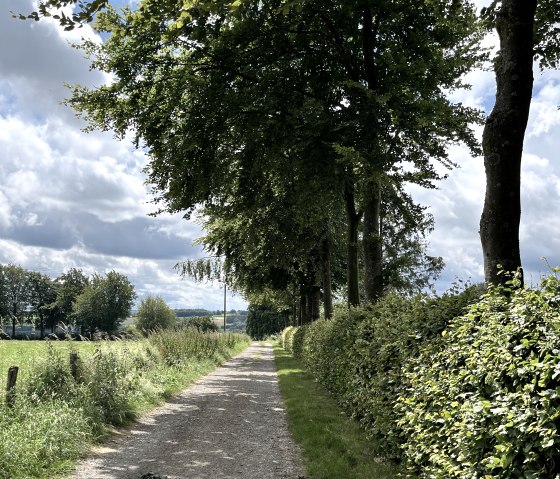 Along the tour, &copy; Monschauer Land Touristik e.V.