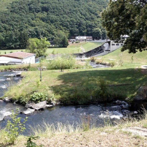 Wandern Rund um Obermaubach, © Eifel Tourismus GmbH, AR-shapefruitAG
