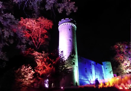 Leuchtende G&auml;rten 2, &copy; Seepark Z&uuml;lpich