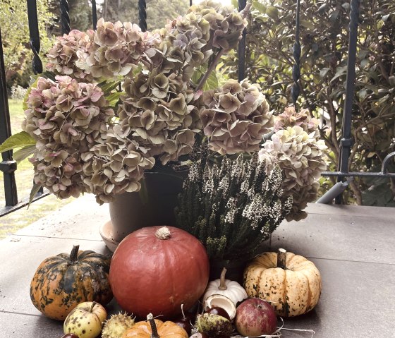 Eingangsbereich im Herbst