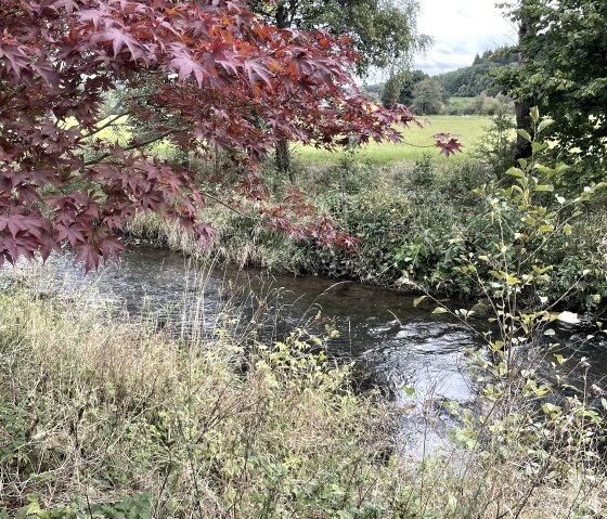Blick auf die Urft (gartenseits)
