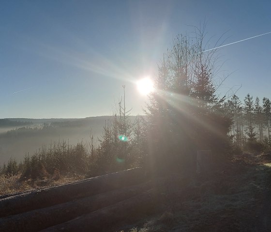 Morning Glow in the Vicht Valley, November (co) Thei&szlig;en-Braun