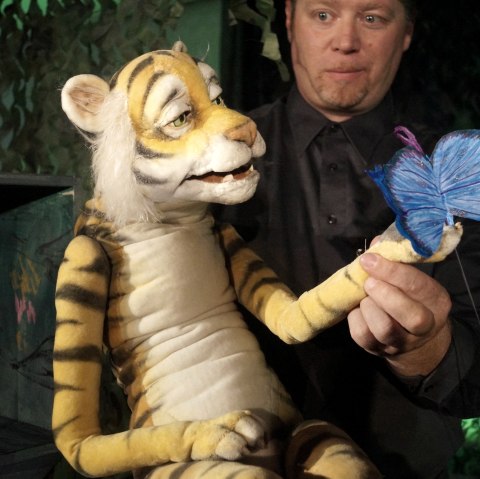 Tigerwild, © Theater con Cuore