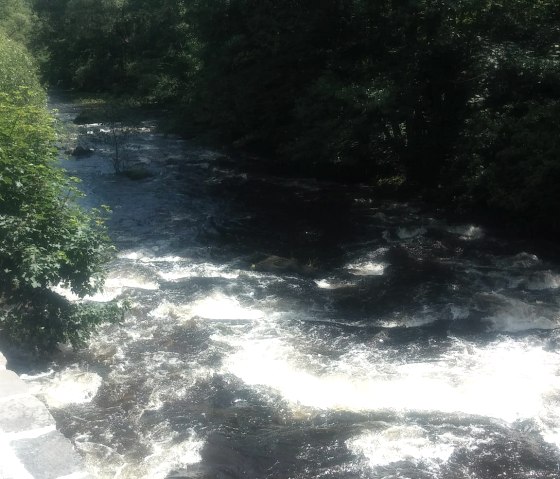 Die Rur direkt vor der T&uuml;r