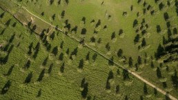 Aerial view of the Struffelt Heath on the Eifelsteig trail, &copy; Eifel Tourismus GmbH, D. Ketz