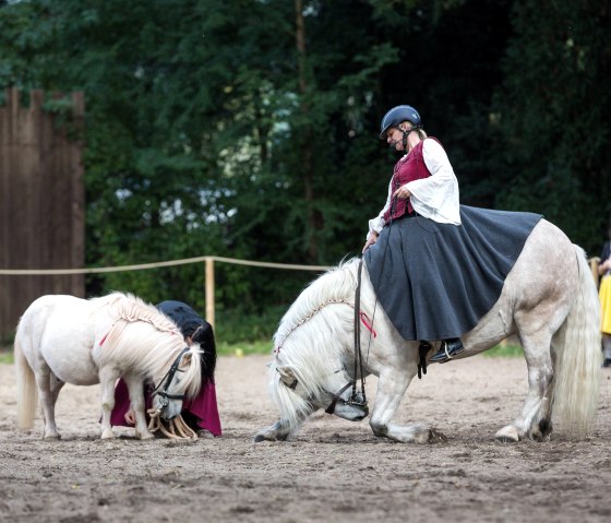 Vorf&uuml;hrungen auf dem Herbstmarkt, &copy; Mario Kaspers