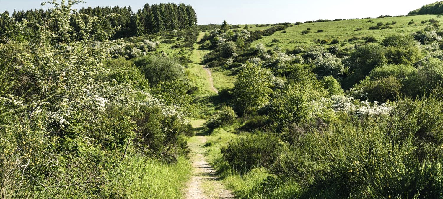 Wanderung Op Platt, &copy; Frank Wiesen