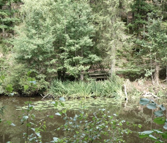 Idyllischer Waldsee, © Eifel heimisch