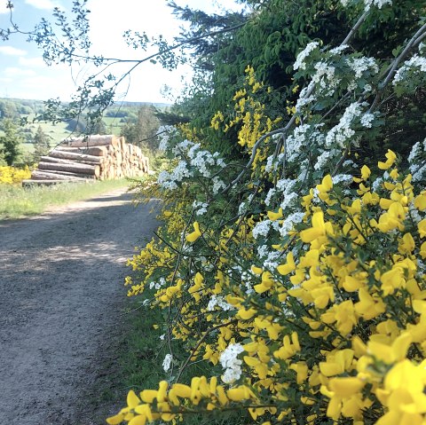 Fr&uuml;hling Aussicht (co) Thei&szlig;en-Braun