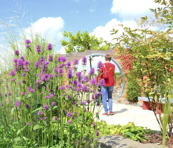 Seepark Z&uuml;lpich, Garten, &copy; Seepark Z&uuml;lpich