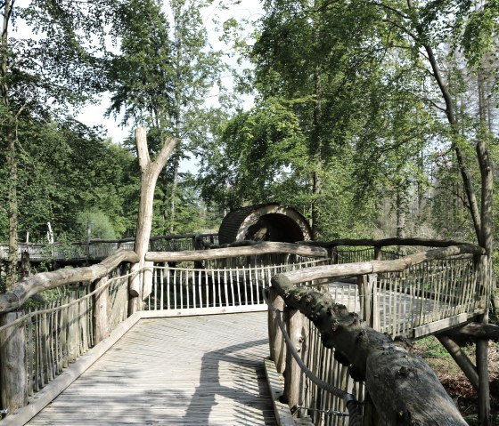 Holzsteg, &copy; Nationalpark Eifel, J. D&ouml;rstel