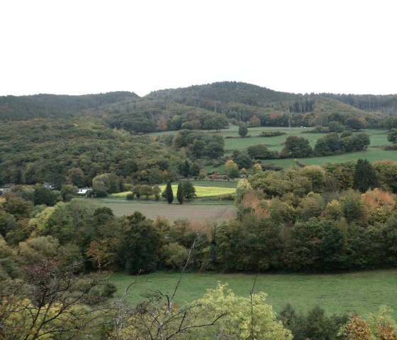 Aussicht Hausener Busch, &copy; Eifel heimisch