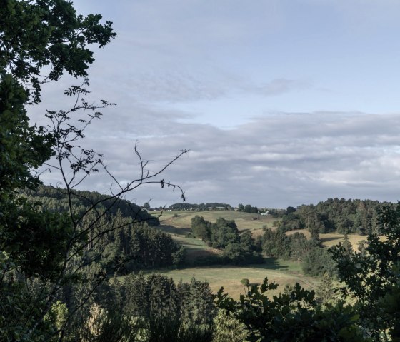 Eine weite Aussicht auf eine Landschaft aus Feldern und Waldgebieten mit bewölktem Himmel., © Nordeifel Tourismus GmbH