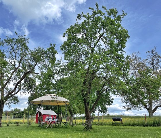 image00004, &copy; Nordeifel Tourismus GmbH & Ferienwohnung Sternengarten Eifel
