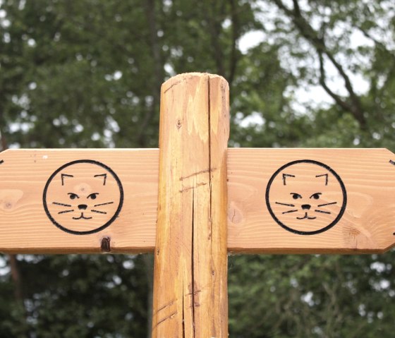 Beschilderung Wildnistrail, &copy; Nationalparkverwaltung