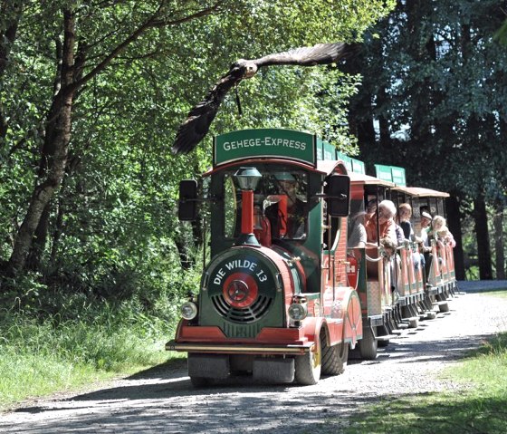 Wildfreigehegeexpress, &copy; Nordeifel Tourismus GmbH & Juigendherberge Hellenthal