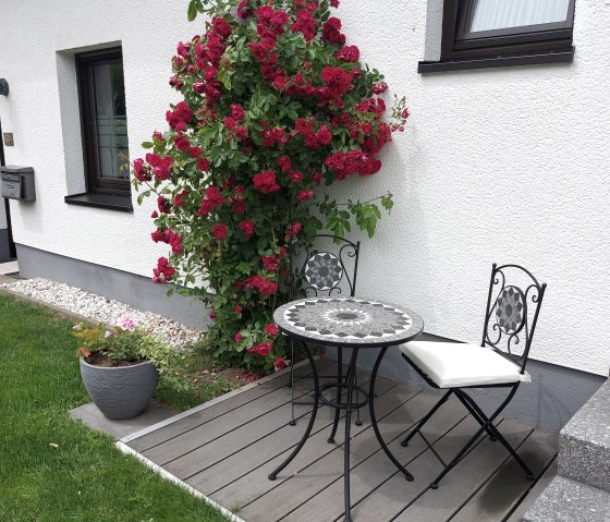 Bild 4 Hausvorgarten-1