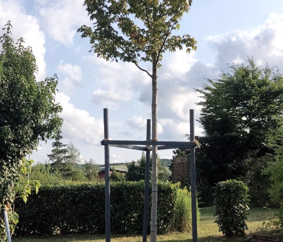 Garten zur Nachbarsseite