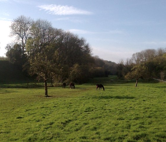 Foto0335, &copy; Nordeifel Tourismus GmbH & FW Schwerfen