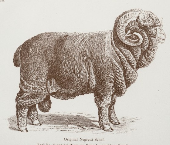 Negretti-Schafbock, &copy; LVR-Industriemuseum