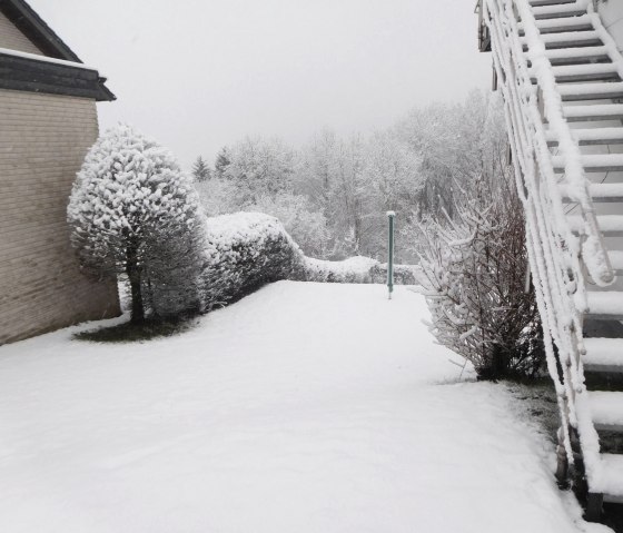 Winter Jan 2025