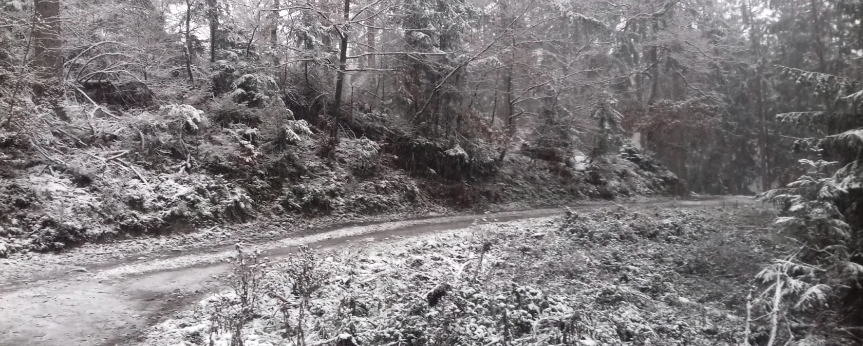 Winterweg Schnee Nebel(co) Thei&szlig;en-Braun