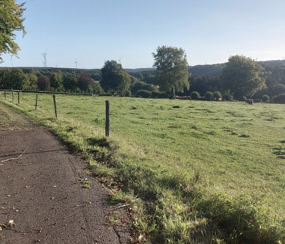 Weg Wiesen Lammersdorf September (co) Thei&szlig;en-Brau