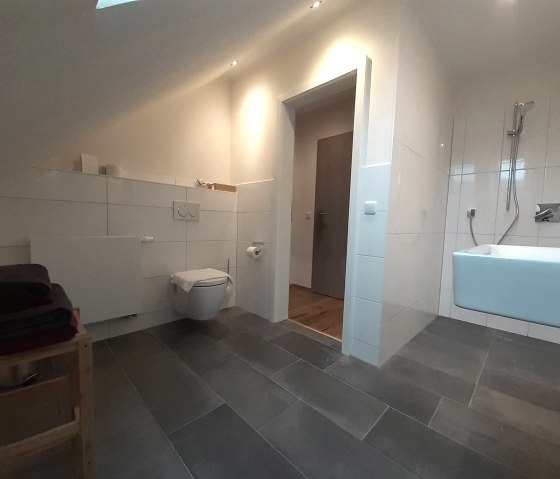 Premium double room - bathroom