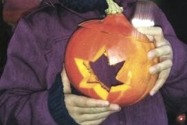 Der Herbst ist da, © Haus Bollheim Handels GmbH & Co. KG