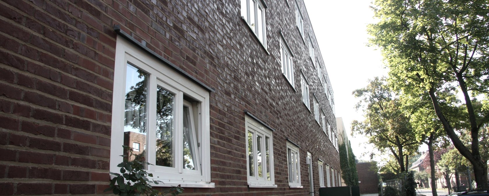 Gr&uuml;ng&uuml;rtel, &copy; WIN.DN GmbH