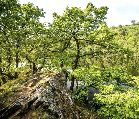 Seeufer am Rursee, &copy; St&auml;dteRegion Aachen