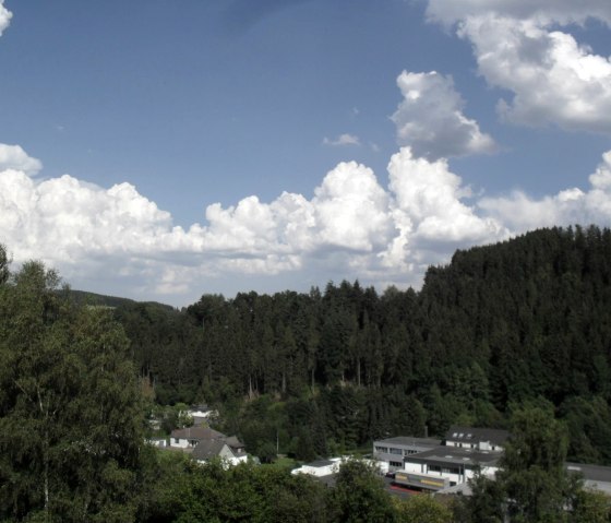 Fewo neue bilder 2017 k&uuml;chenr&uuml;ckwand,hundsofa 039, &copy; Nordeifel Tourismus GmbH & Ferienwohnung Haus Klinkhammer